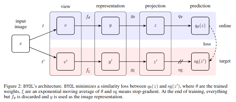 BYOL Architecture [4]