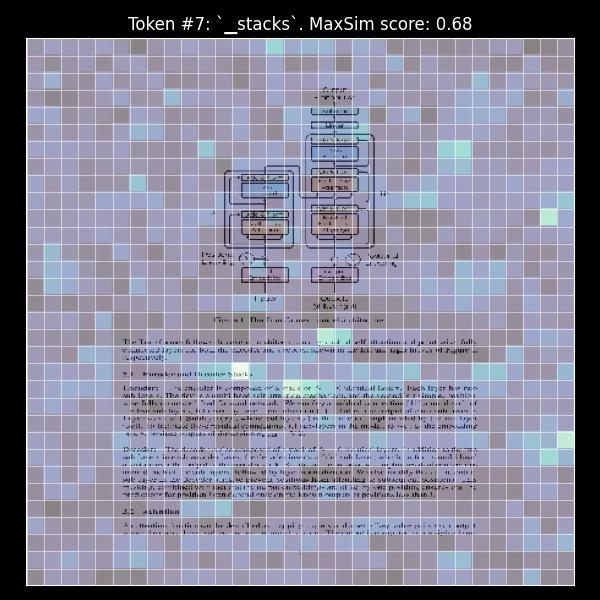 Activation Map on the resized scale