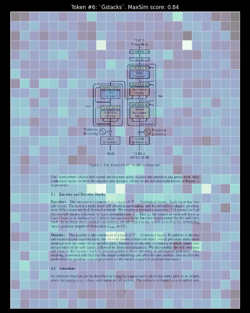 Activation Map on the resized scale